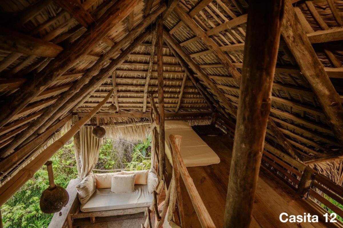 Ecolodge Tubagua Puerto Plata Kültér fotó