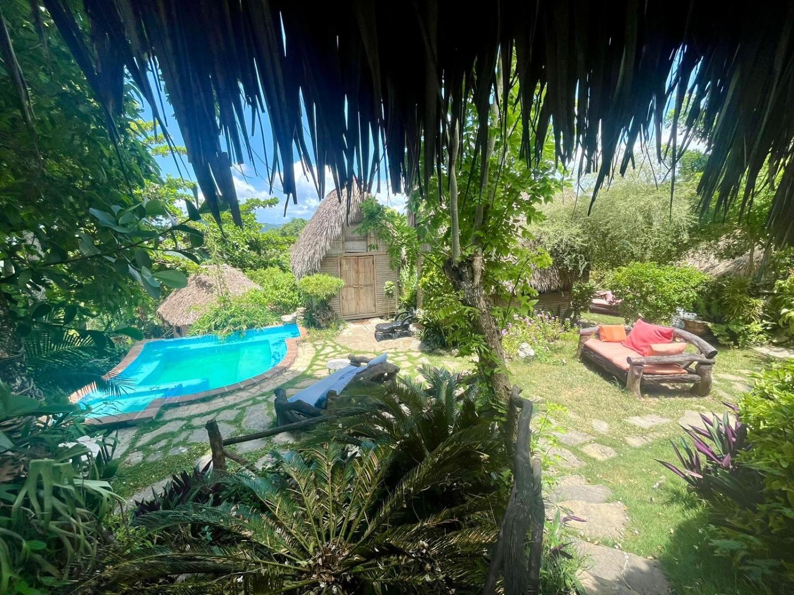 Ecolodge Tubagua Puerto Plata Kültér fotó
