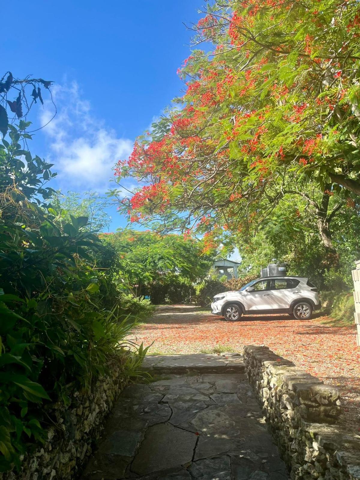 Ecolodge Tubagua Puerto Plata Kültér fotó