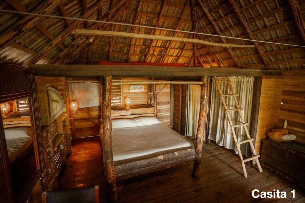 Ecolodge Tubagua Puerto Plata Kültér fotó