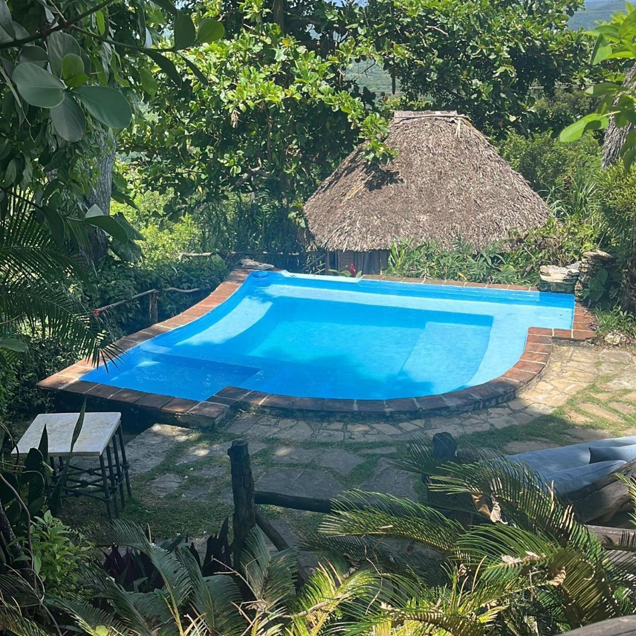 Ecolodge Tubagua Puerto Plata Kültér fotó